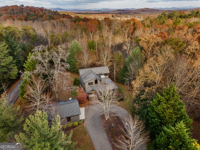 19 Chestnut Hills Lane, Blue Ridge, GA 30513