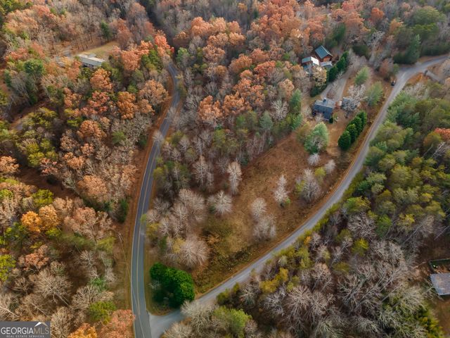 19 Chestnut Hills Lane, Blue Ridge, GA 30513