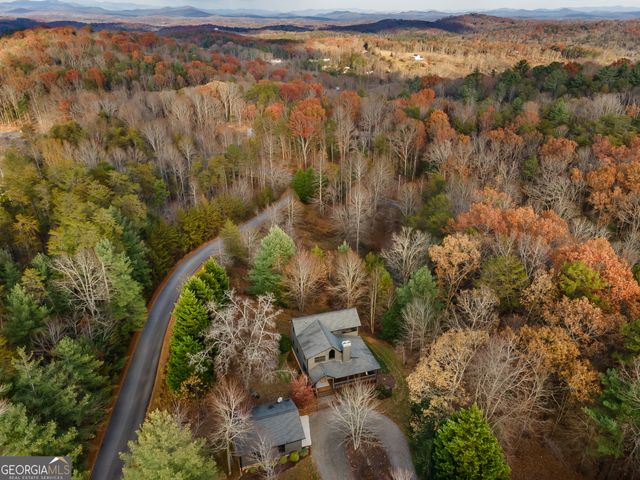 19 Chestnut Hills Lane, Blue Ridge, GA 30513