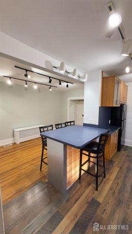 55 suydam Street 1, New Brunswick, NJ 08901