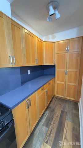 55 suydam Street 1, New Brunswick, NJ 08901