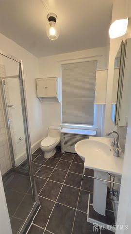 55 suydam Street 1, New Brunswick, NJ 08901