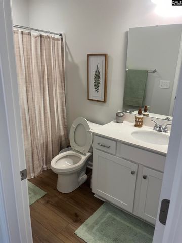 208 Flatsedge Court, Lexington, SC 29072