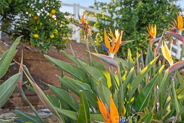 40055 Valle Vista, Murrieta, CA 92562