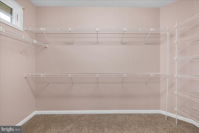 832 WINDER CT, Winchester, VA 22601