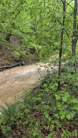 212 Cherokee Dr, White Bluff, TN 37187