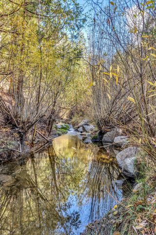 53300 Meadow Drive, Idyllwild, CA 92549