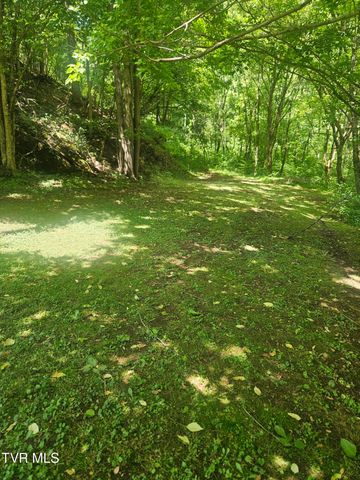 3665 Reeds Valley Road, Castlewood, VA 24224
