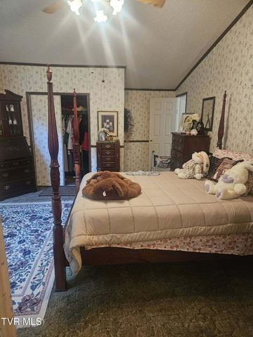 3665 Reeds Valley Road, Castlewood, VA 24224