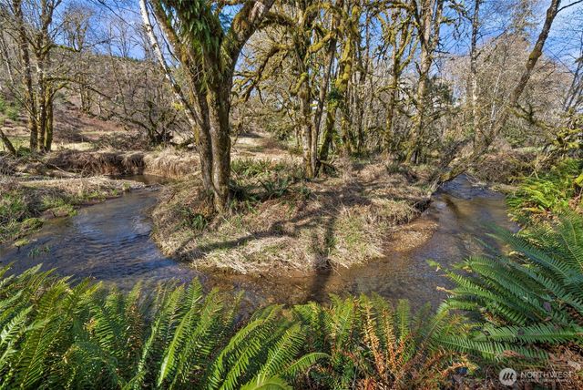 65 Wilderness Road, Oakville, WA 98568