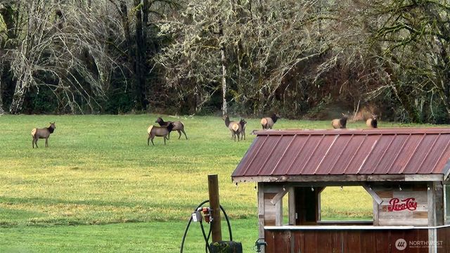 65 Wilderness Road, Oakville, WA 98568