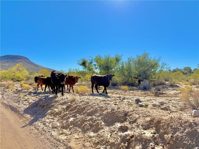 1606 N Friendship Pass, Kingman, AZ 86401