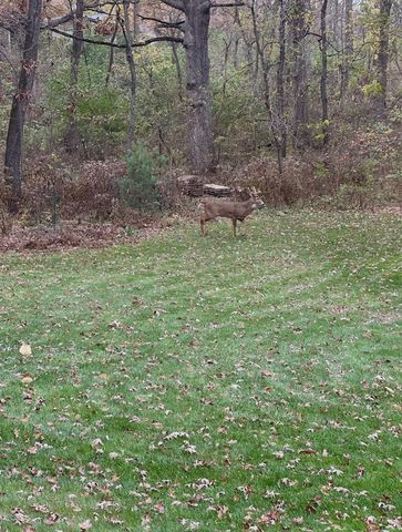 4N609 Pheasant Run Drive, St. Charles, IL 60175