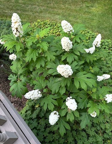 4N609 Pheasant Run Drive, St. Charles, IL 60175