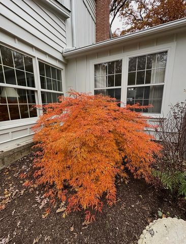 4N609 Pheasant Run Drive, St. Charles, IL 60175