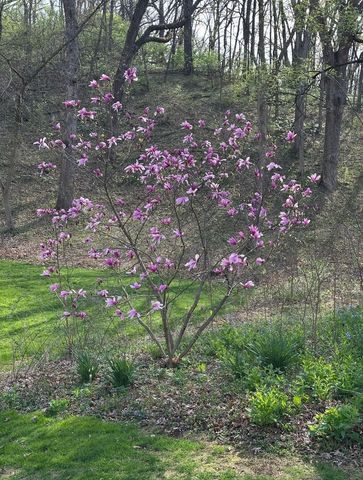 4N609 Pheasant Run Drive, St. Charles, IL 60175