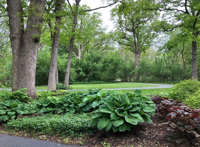 4N609 Pheasant Run Drive, St. Charles, IL 60175