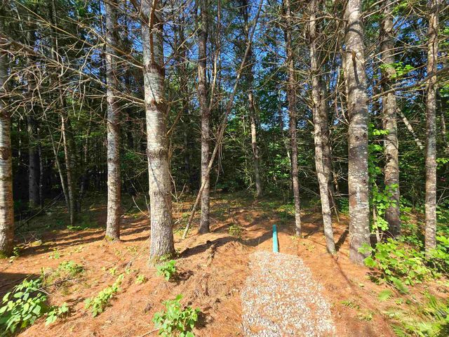 77 Trapper Road, Campton, NH 03223