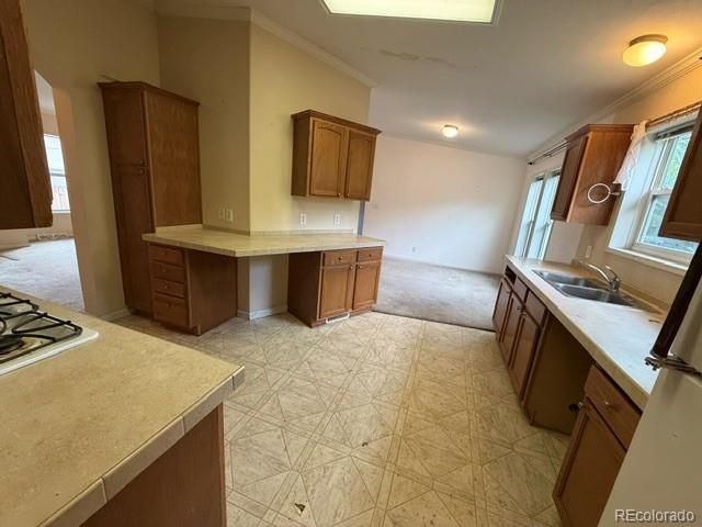 5 S Wolff Street, Denver, CO 80219