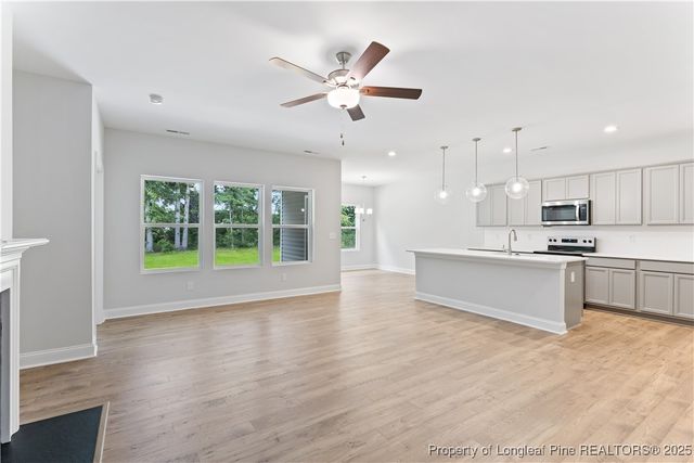 3117 Wolfpack Lane, Eastover, NC 28312