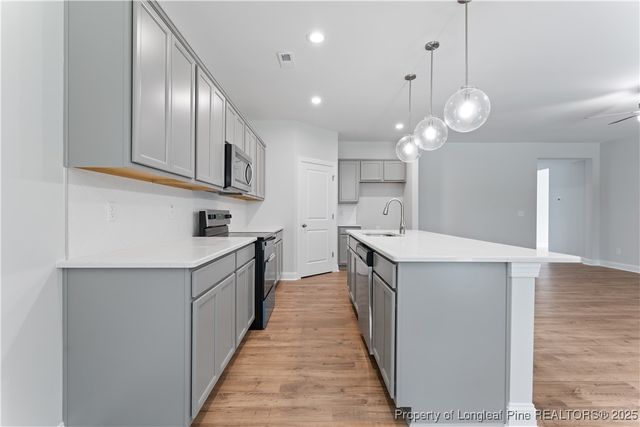 3117 Wolfpack Lane, Eastover, NC 28312