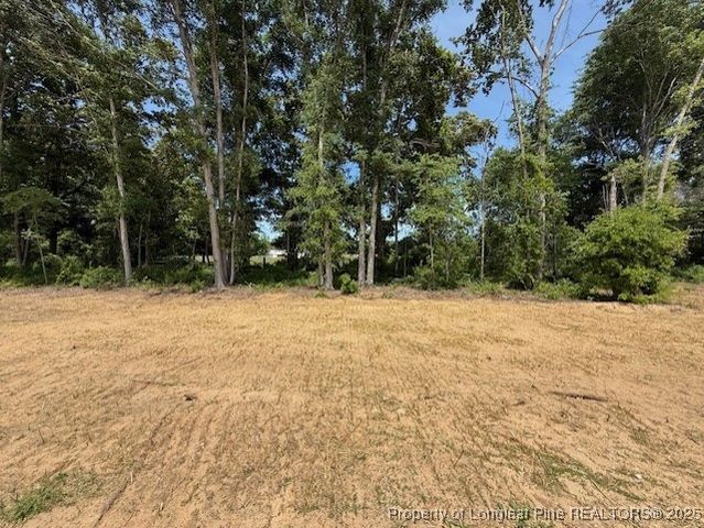 3117 Wolfpack Lane, Eastover, NC 28312