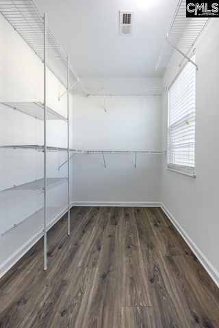 280 Walkbridge Way, Chapin, SC 29036
