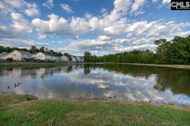 280 Walkbridge Way, Chapin, SC 29036