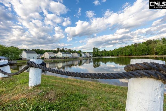 280 Walkbridge Way, Chapin, SC 29036
