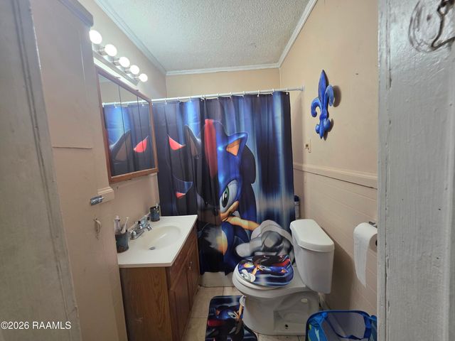 217 Laurel Street, Lafayette, LA 70501