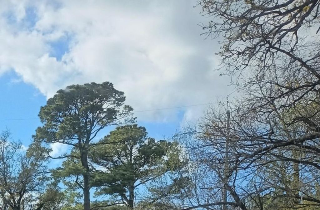 0000 E Shore, Lewisville, TX 75057
