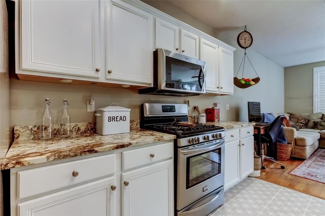 10019 BRADWELL PLACE, Tampa, FL 33626