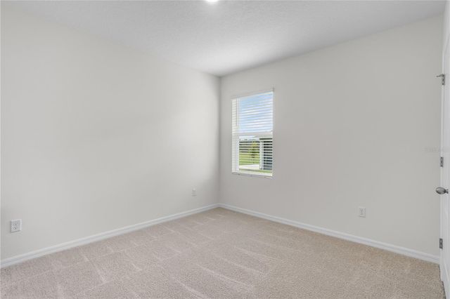 1173 ALSTONIA LANE, Mount Dora, FL 32757