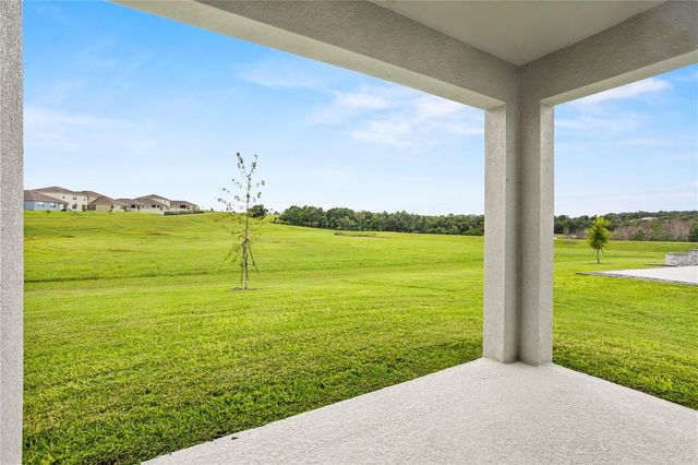 1173 ALSTONIA LANE, Mount Dora, FL 32757