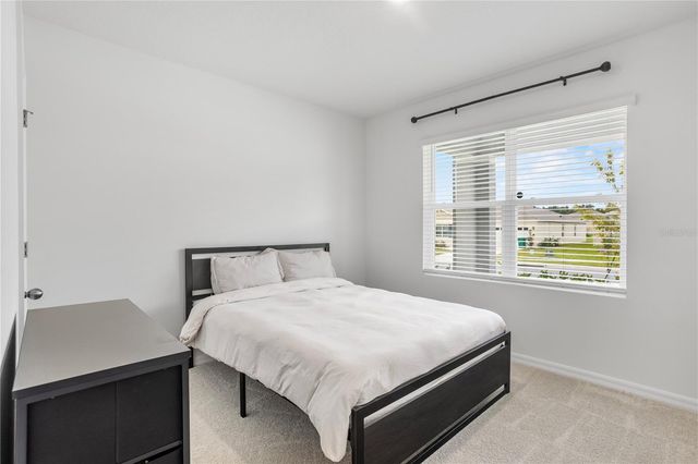 1173 ALSTONIA LANE, Mount Dora, FL 32757