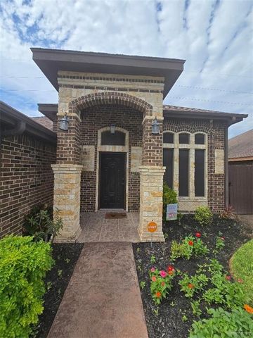 419 Benites Street, Edinburg, TX 78539