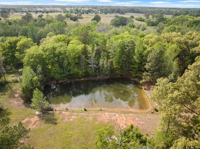 1018 County Road 4287, Winnsboro, TX 75494