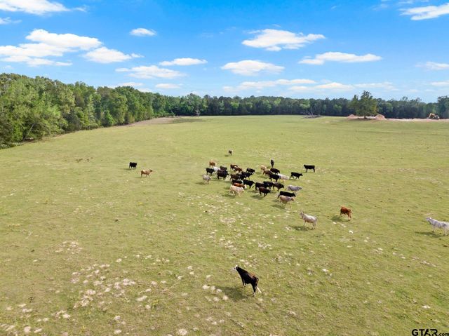 1018 County Road 4287, Winnsboro, TX 75494