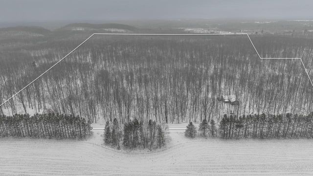 W9110 Wildwood Road, Willard, WI 54493