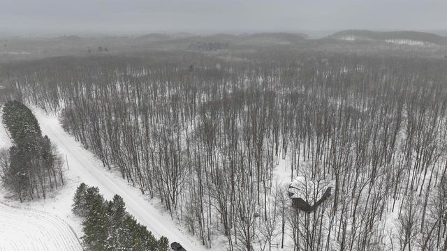 W9110 Wildwood Road, Willard, WI 54493