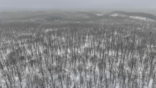 W9110 Wildwood Road, Willard, WI 54493