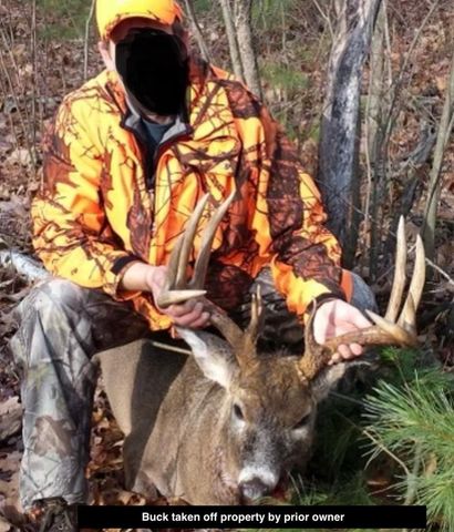 W9110 Wildwood Road, Willard, WI 54493