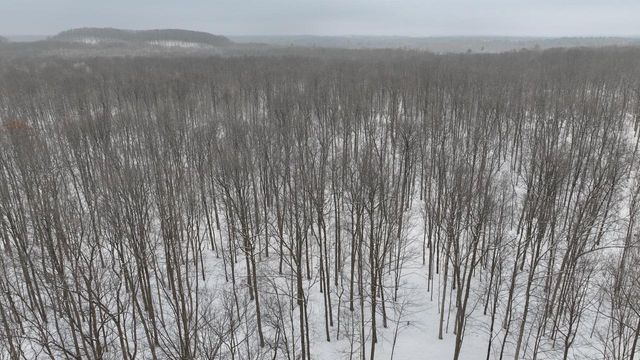 W9110 Wildwood Road, Willard, WI 54493