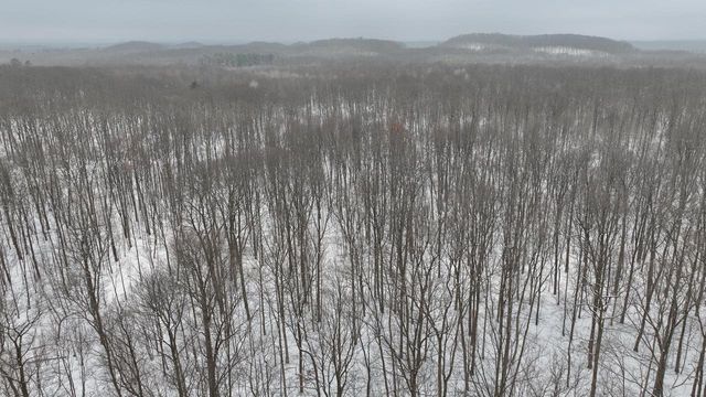 W9110 Wildwood Road, Willard, WI 54493