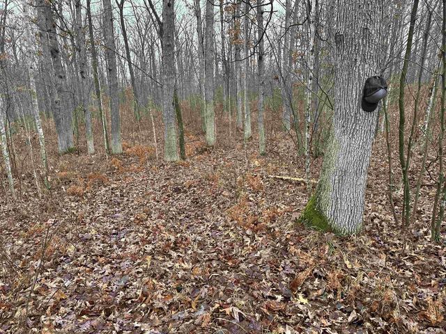 W9110 Wildwood Road, Willard, WI 54493