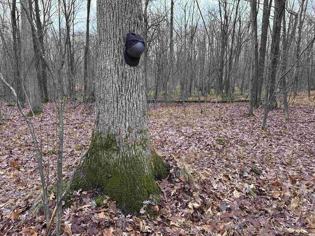 W9110 Wildwood Road, Willard, WI 54493