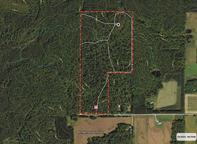 W9110 Wildwood Road, Willard, WI 54493