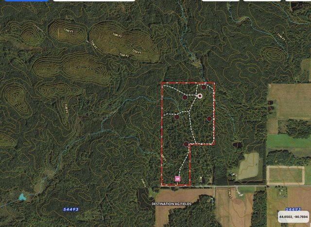 W9110 Wildwood Road, Willard, WI 54493