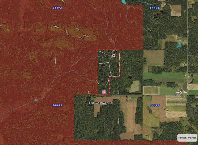 W9110 Wildwood Road, Willard, WI 54493