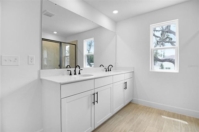 1067 CLOUD RIDGE COURT, Mount Dora, FL 32757